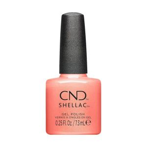 CND SHELLAC Apribot 0.25oz Dynamic Duality Autumn 2024