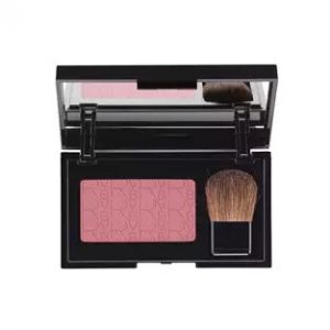 RVB The  Make Up Powder Blush 111